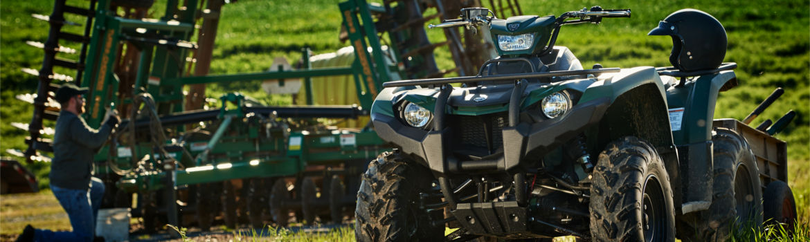 2018 Yamaha Kodiak 450 Green L5 for sale in Okefenokee Cycle Center, Blackshear, Georgia